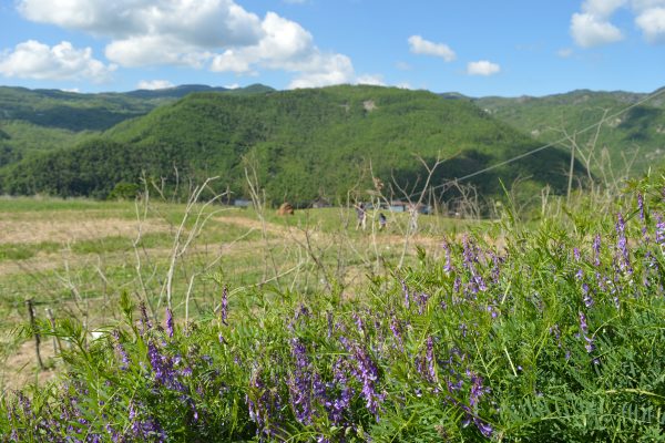 Orto Elementare Ecovillaggio Tempo di Vivere