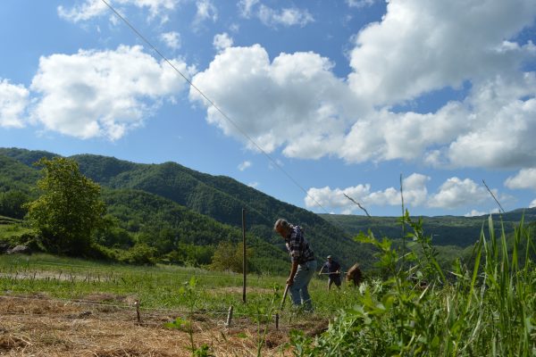 Orto Elementare Ecovillaggio Tempo di Vivere Gian Carlo Cappello