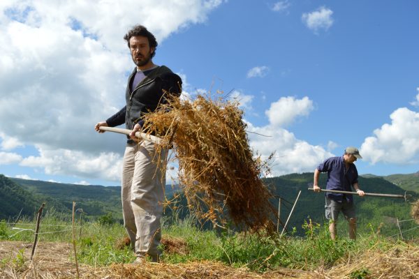 Orto Elementare Ecovillaggio Tempo di Vivere Andrea Sellitti